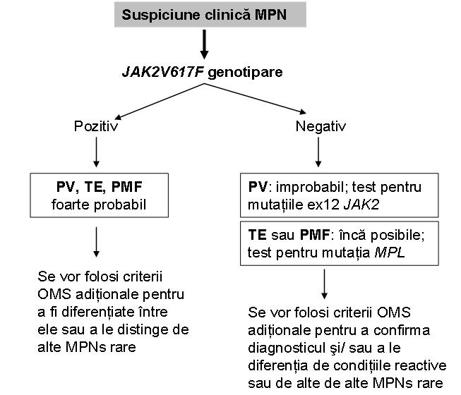 JAK2 - mutații exon 12&14 (V617F) - Synevo