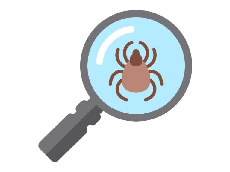 boala lyme, simtome boala lyme, borelioza, western blot, boala lyme tratament, test boala lyme, tratament boala lyme, doctori care tratateaza boala lyme, ce este boala lyme, analize boala lyme, western blot borrelia, boala lyme la copii